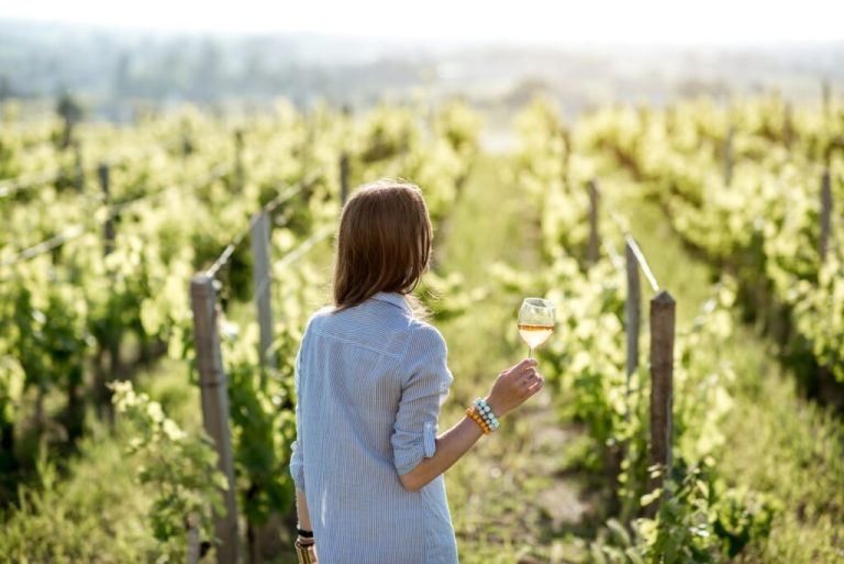Le Domaine De Minuty, l'art de la vinification en Provence